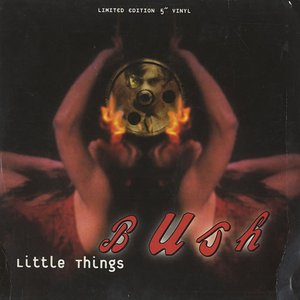 Image for 'Little Things'