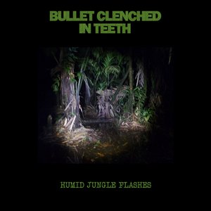 Humid Jungle Flashes
