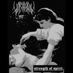 Strength Of Spirit