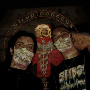 Streptococcus Pyogenes 的头像