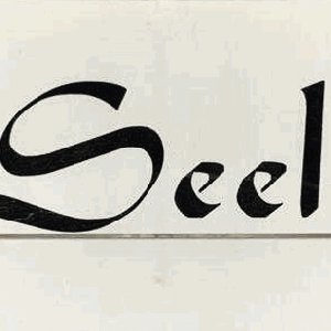 sincere letter / rain fall
