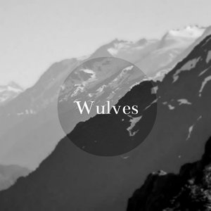 Wulves 的头像