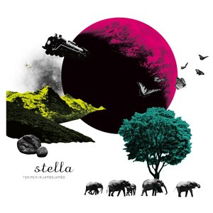 stella