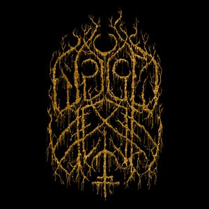 waldhexen 的头像