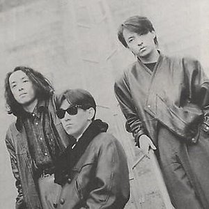 D-Project 的头像