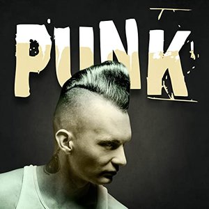 Punk [Explicit]
