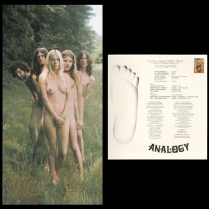 Avatar de Analogy