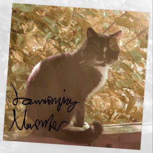 Lamenting November
