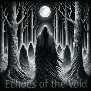 Echoes of the Void