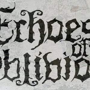 Echoes of Oblivion 的头像