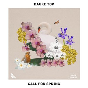 Call For Spring