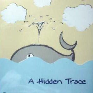 A Hidden Trace