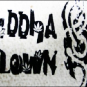 Avatar for Buddha Blown