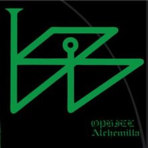 Alchemilla
