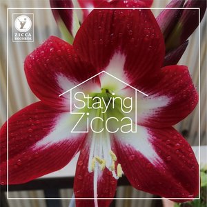 Staying Zicca