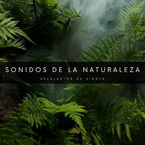 Avatar for Academia de Música con Sonidos de la Naturaleza