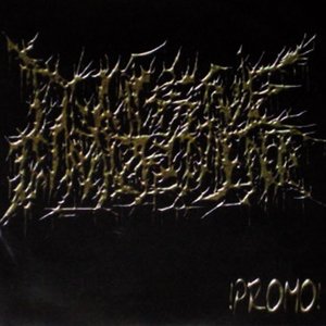 Promo 2008