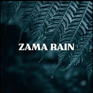 Rain and Birdsong