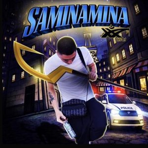 Saminamina