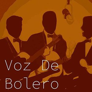 Voz de Bolero