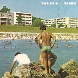 Steaua de Mare