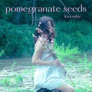 Pomegranate Seeds - Single