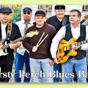 Avatar for Thirsty Perch Blues Band