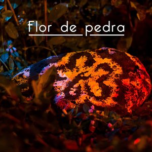 Flor de Pedra