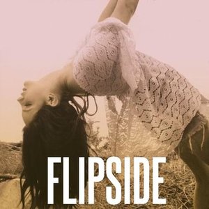 Image for 'Flipside'