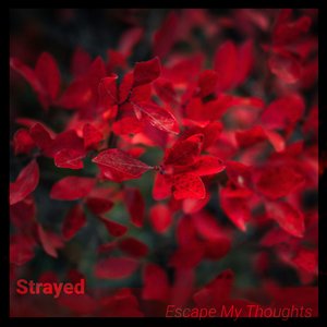 Escape My Thoughts - Single