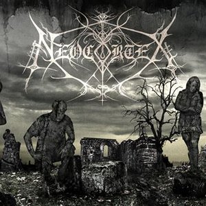 Neocortex 的头像