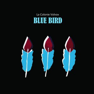 Blue Bird