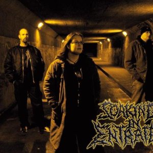 Soaking in Entrails 的头像