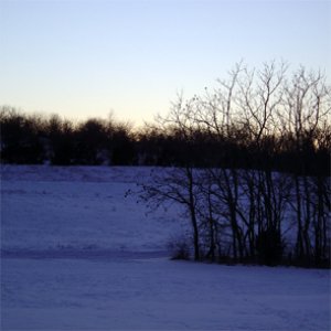 Image for 'hautlle'