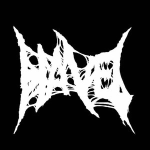Havel 的头像