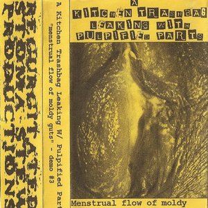Menstrual Flow Of Moldy Guts - Demo Tape#3