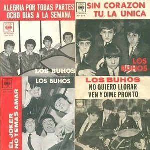 los buhos 的头像