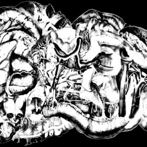 Avatar for Gore Galore
