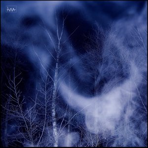 Image for 'Resurrection 3 (A Forest)'