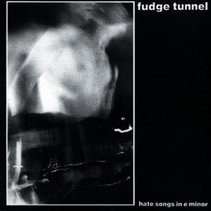 Hate Songs in E Minor cover