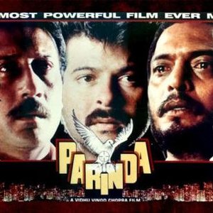 Parinda 的头像
