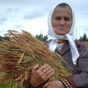 Zdjęcia dla 'Александра Кокорина'