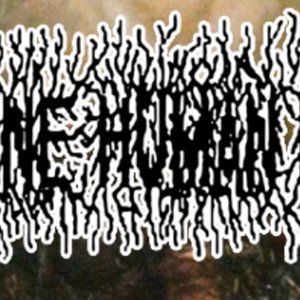 Avatar for Insane Human Mind