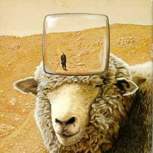 Electric Sheep photo provided by Last.fm