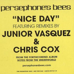 Nice Day (Remixes)
