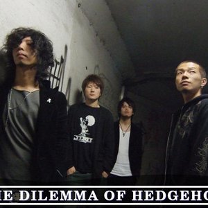 the dilemma of hedgehog 的头像