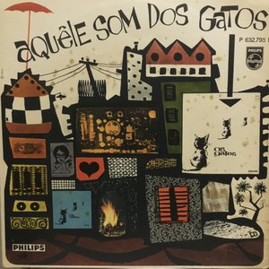 Aquêle Som Dos Gatos