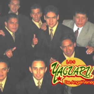 Los Yaguaru De Angel Venegas のアバター