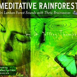 Meditative Rainforest