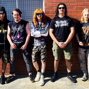 Vile Mutilation 的头像